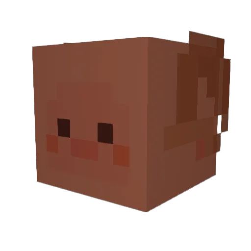 Nupputyun Minecraft avatar head, 3D render