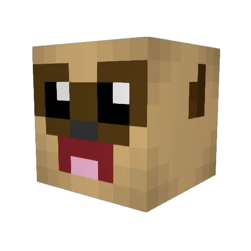 Nuppy_223 Minecraft avatar head, 3D render