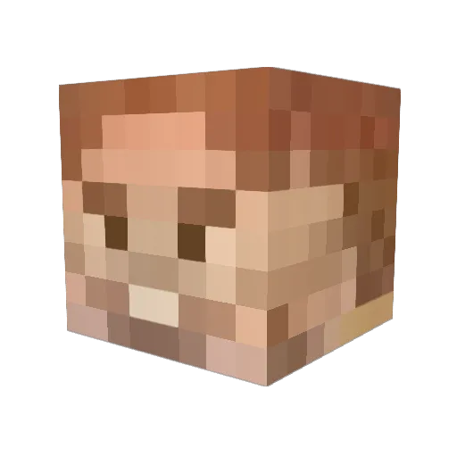 NurFuerServer Minecraft avatar head, 3D render