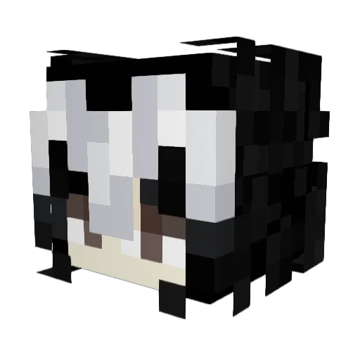 NurVorteile Minecraft avatar head, 3D render