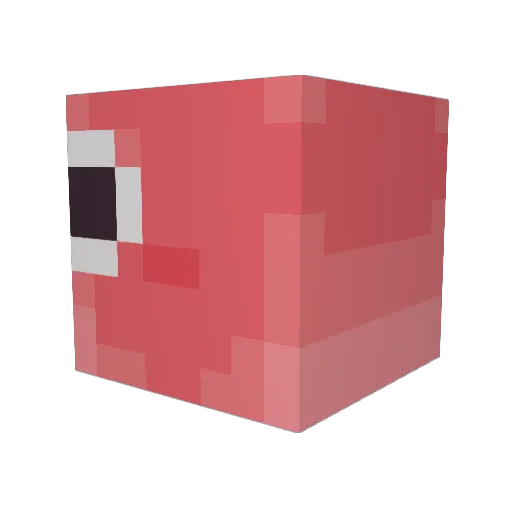 Nuran18 Minecraft avatar head, 3D render