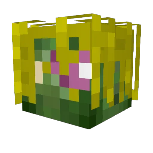 Nure_SP24 Minecraft avatar head, 3D render