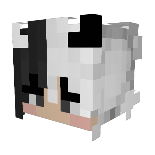 Nuria175 Minecraft avatar head, 3D render
