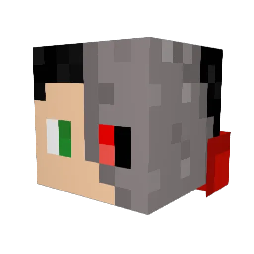 NurseGamer Minecraft avatar head, 3D render
