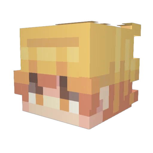 NurseMessy Minecraft avatar head, 3D render