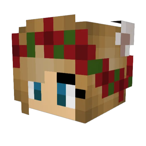 NurseMooch Minecraft avatar head, 3D render
