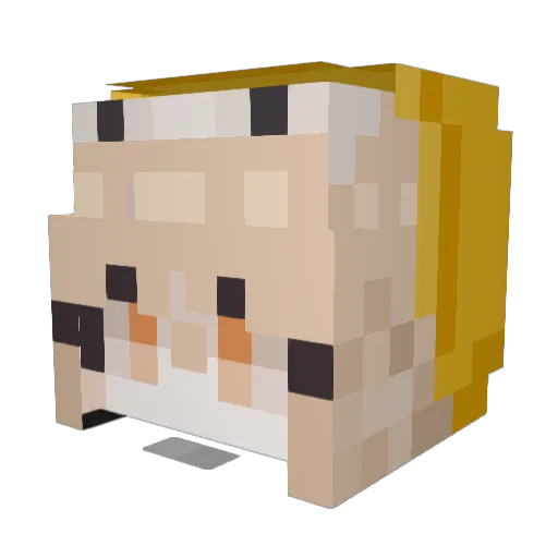 NurseRobot_TypeT Minecraft avatar head, 3D render