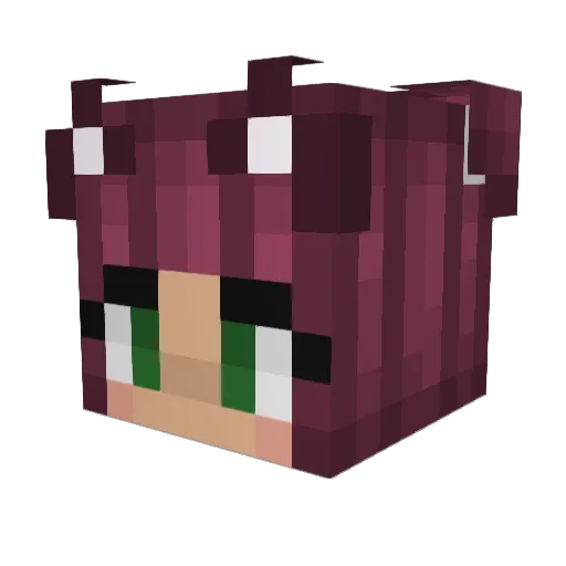 Nurse_Kitty Minecraft avatar head, 3D render
