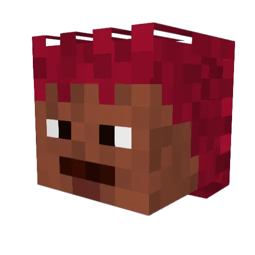 Nushii9 Minecraft avatar head, 3D render