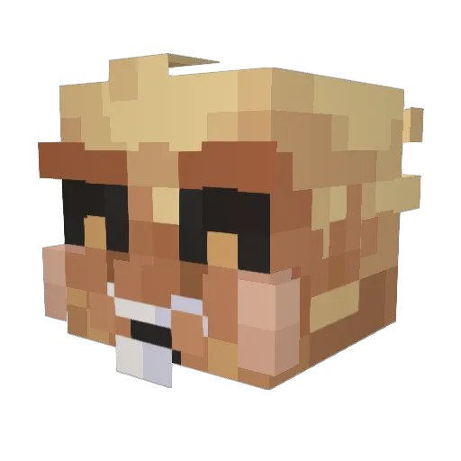 Nusori Minecraft avatar head, 3D render