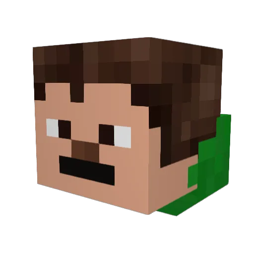 Nusy73 Minecraft avatar head, 3D render