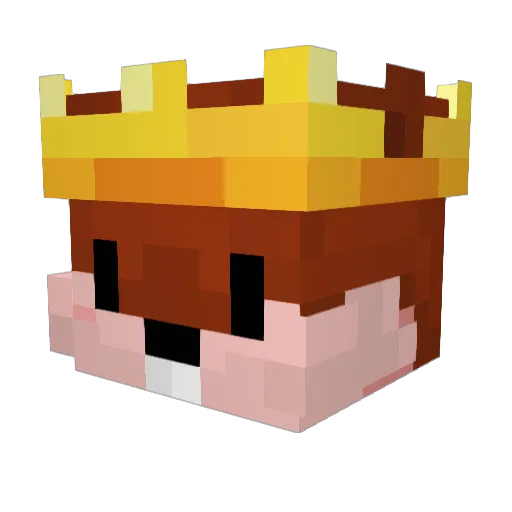 NutEaters Minecraft avatar head, 3D render