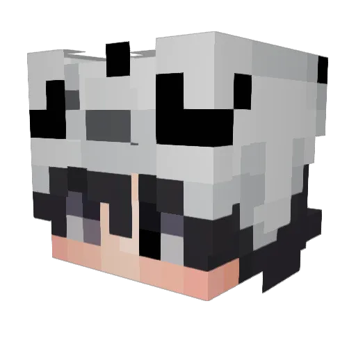 Nutbuk Minecraft avatar head, 3D render