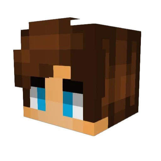 Nutcrako1 Minecraft avatar head, 3D render
