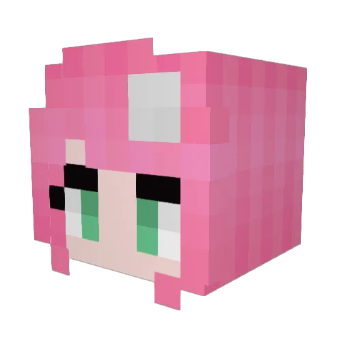 Nutdumpster Minecraft avatar head, 3D render