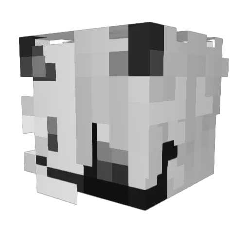 Nutella8424 Minecraft avatar head, 3D render