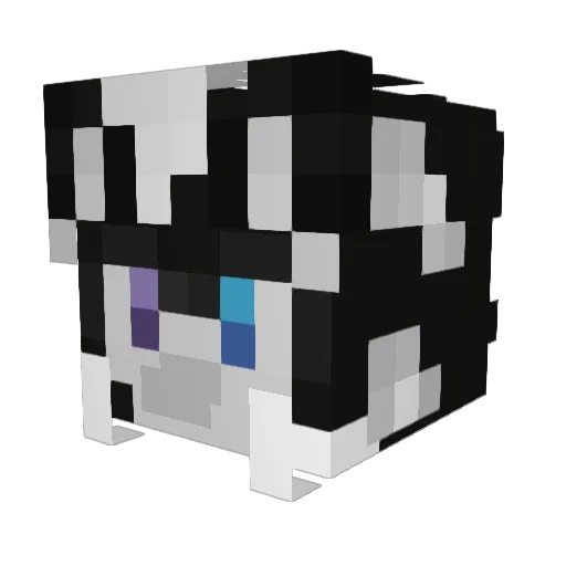 Nutella_Mochi Minecraft avatar head, 3D render