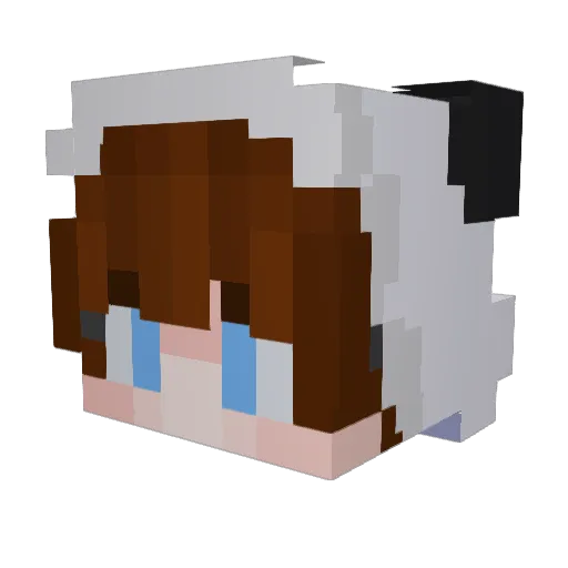 Nuter484 Minecraft avatar head, 3D render