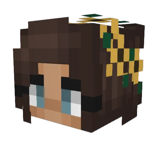 NutriaRace Minecraft avatar head, 3D render
