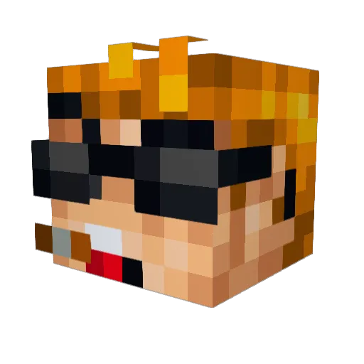 Nuts_n_Dolts Minecraft avatar head, 3D render