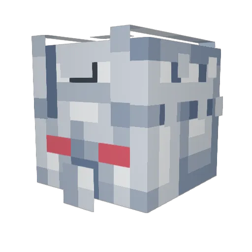 Nutshell00 Minecraft avatar head, 3D render