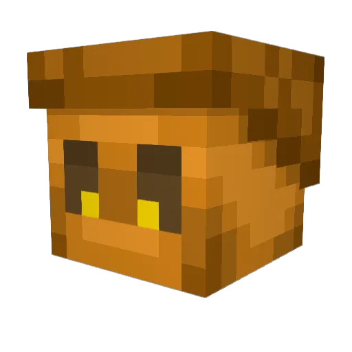 NutshellM8s Minecraft avatar head, 3D render