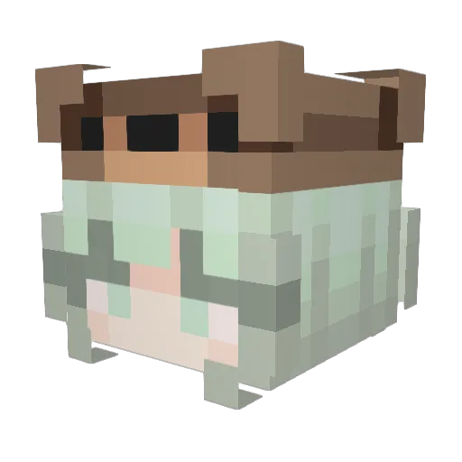 Nutszack Minecraft avatar head, 3D render