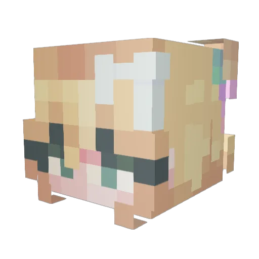 NuttMegan Minecraft avatar head, 3D render