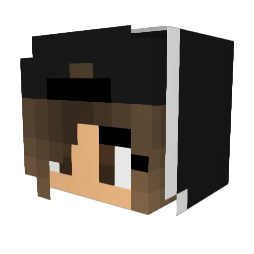Nuttela123 Minecraft avatar head, 3D render