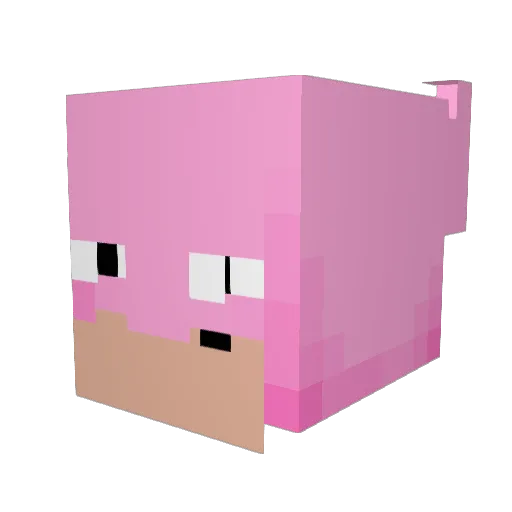 Nutts0 Minecraft avatar head, 3D render