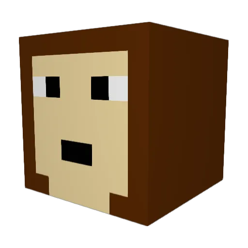 Nutty1223 Minecraft avatar head, 3D render