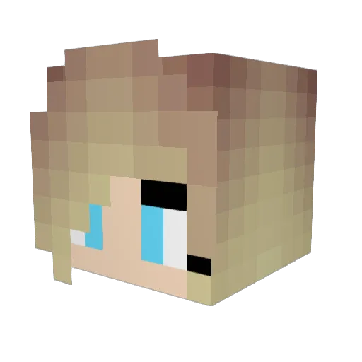 NuttyMedal Minecraft avatar head, 3D render
