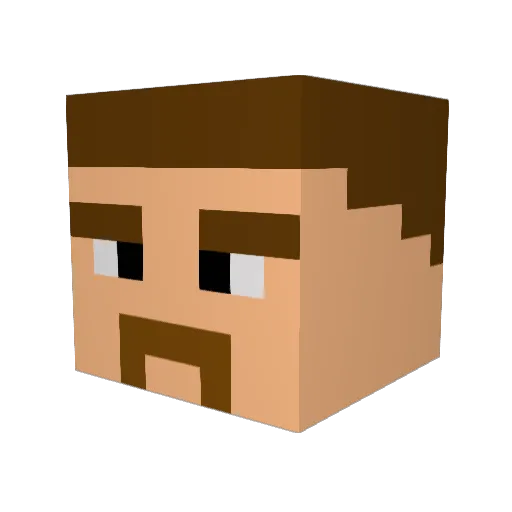 Nuttynutbar17 Minecraft avatar head, 3D render