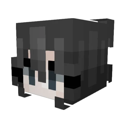 Nuunnally Minecraft avatar head, 3D render