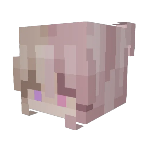 Nuwacchi Minecraft avatar head, 3D render