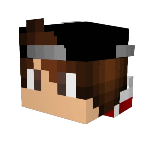 Nux420 Minecraft avatar head, 3D render