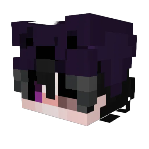 Nuxzs Minecraft avatar head, 3D render