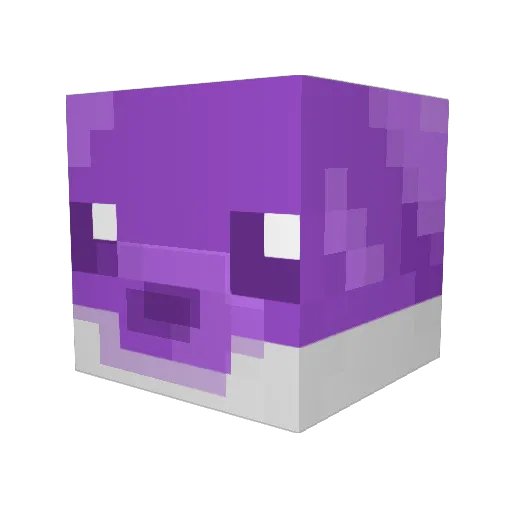 Nuyu Minecraft avatar head, 3D render
