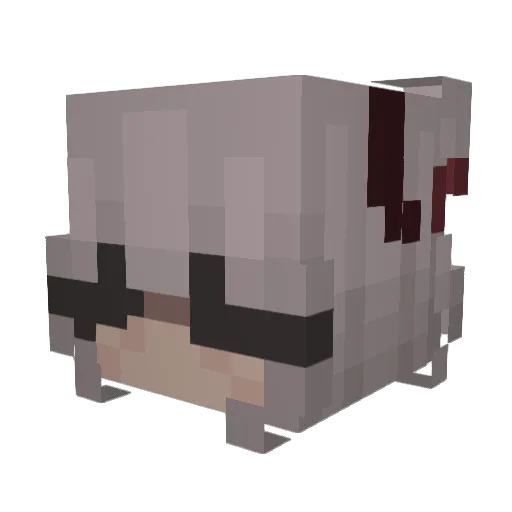 NvmDude Minecraft avatar head, 3D render
