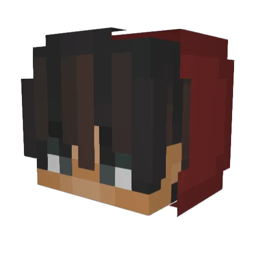 Nwiklas Minecraft avatar head, 3D render