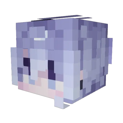 NwxS1 Minecraft avatar head, 3D render