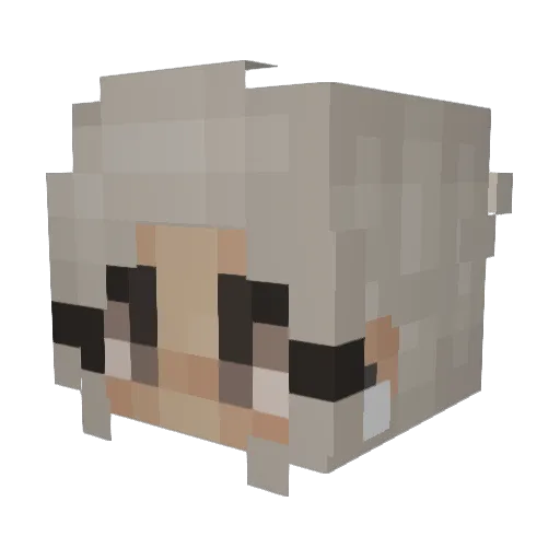 NwynXtra Minecraft avatar head, 3D render