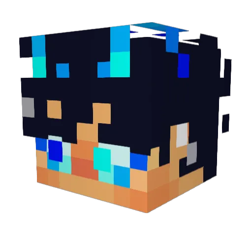 Nx5o Minecraft avatar head, 3D render