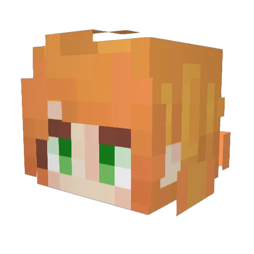 NxMa14 Minecraft avatar head, 3D render