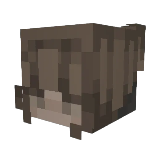 Nxck111 Minecraft avatar head, 3D render