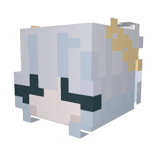 NxctisSxlaris Minecraft avatar head, 3D render
