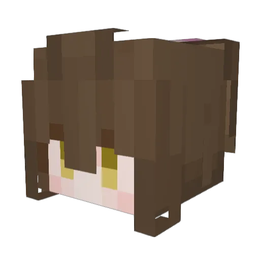 Nxdll Minecraft avatar head, 3D render