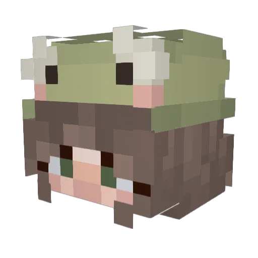 Nxixh Minecraft avatar head, 3D render