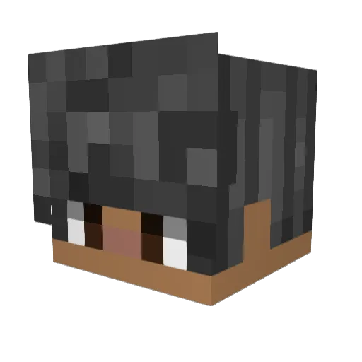 Nxk011 Minecraft avatar head, 3D render