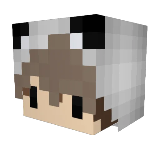 Nxkoo Minecraft avatar head, 3D render